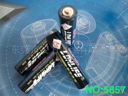 东莞市凌力电池 干电池产品列表